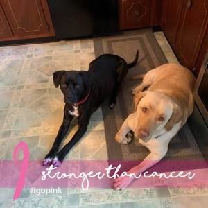 Meet your Posher, Peggy